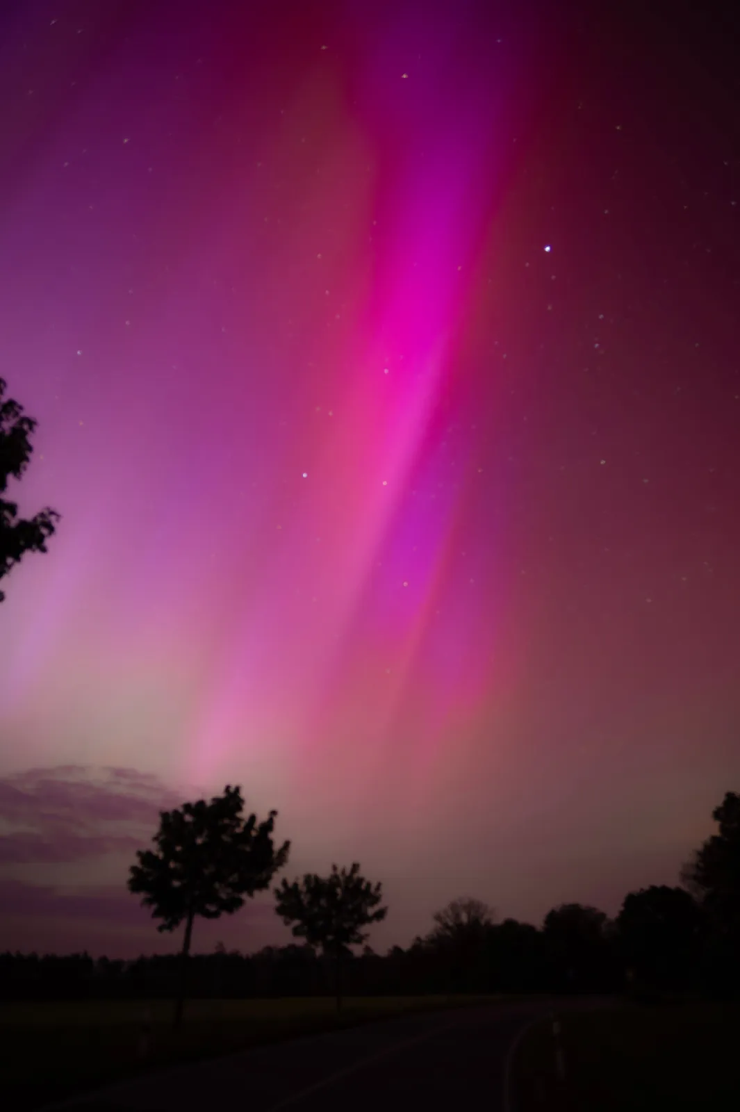 A pink and magenta aurora over a country road and silhouetted trees.
