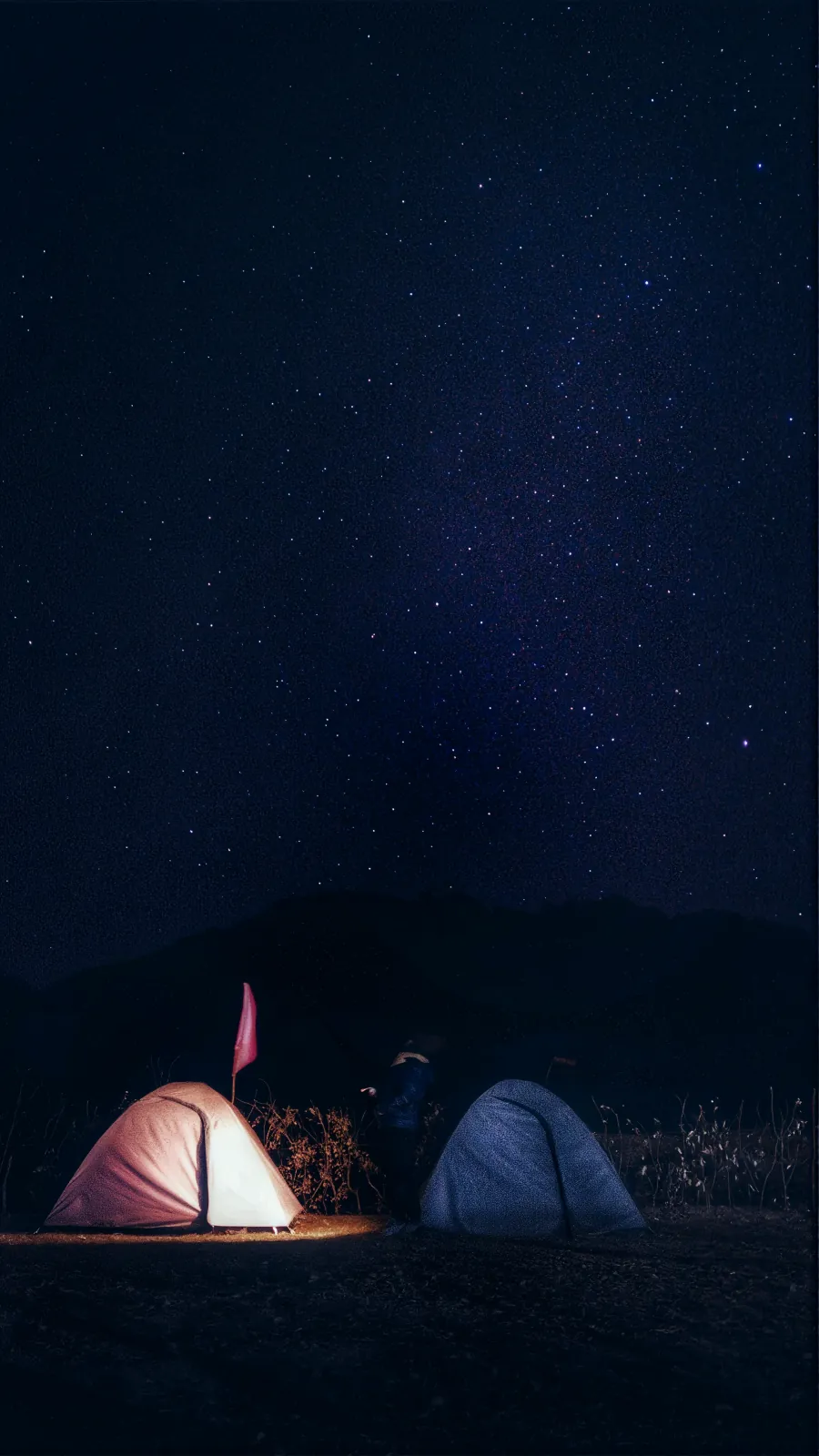 Two glowing tents under a deep blue night sky full of stars.
