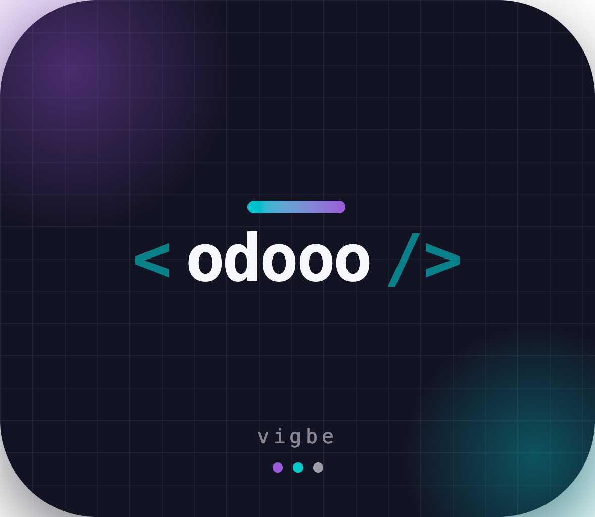 pi-odoo-develop
