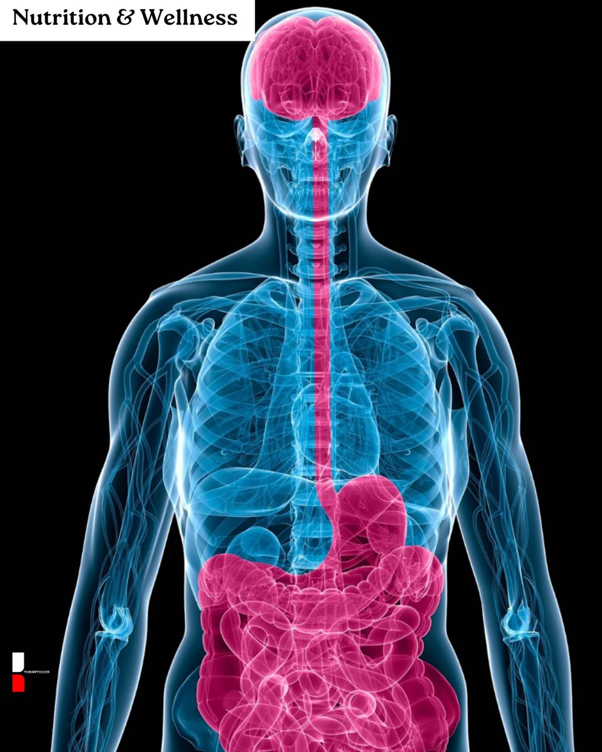 Cover image for Microbiome Makeover: How a Healthy Gut Can Strengthen Your Mind and Mood