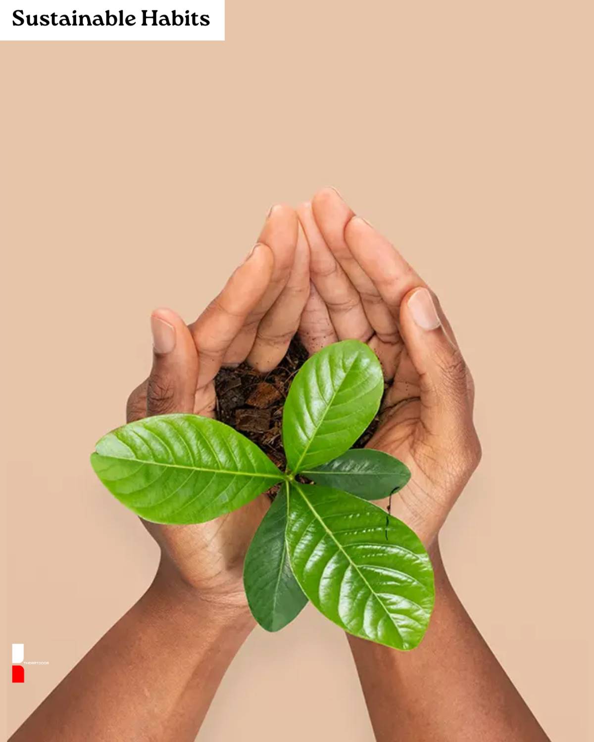 Sustainable Habits: Small Acts, Big Impact