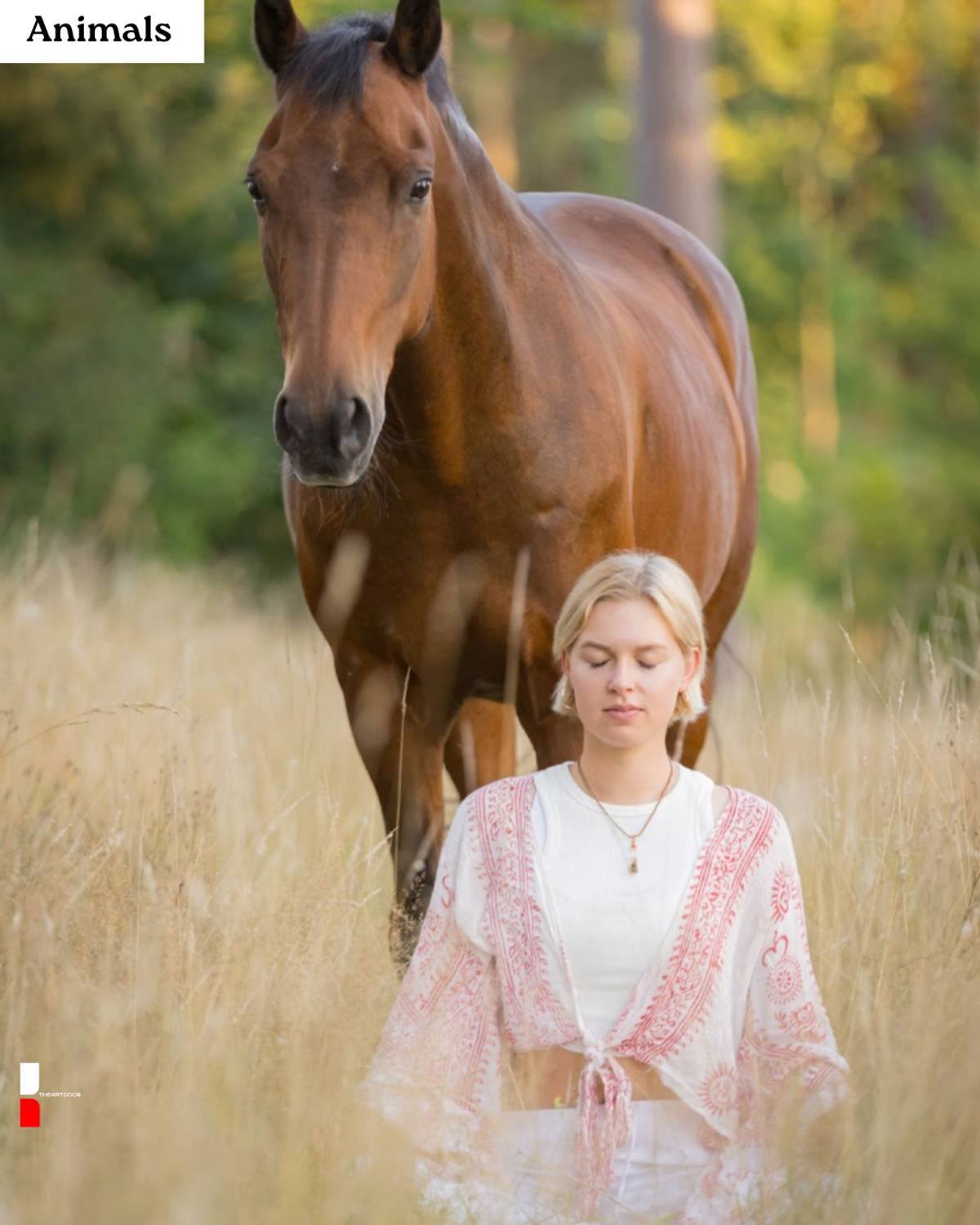 The Wisdom of Horses: Lessons in Being, Leading, and Living Fully