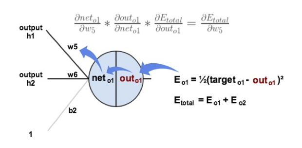 HÌNH 24B.05d. Backpropagation : Output Layer.