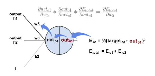 HÌNH 24B.06c. Backpropagation : Output Layer.