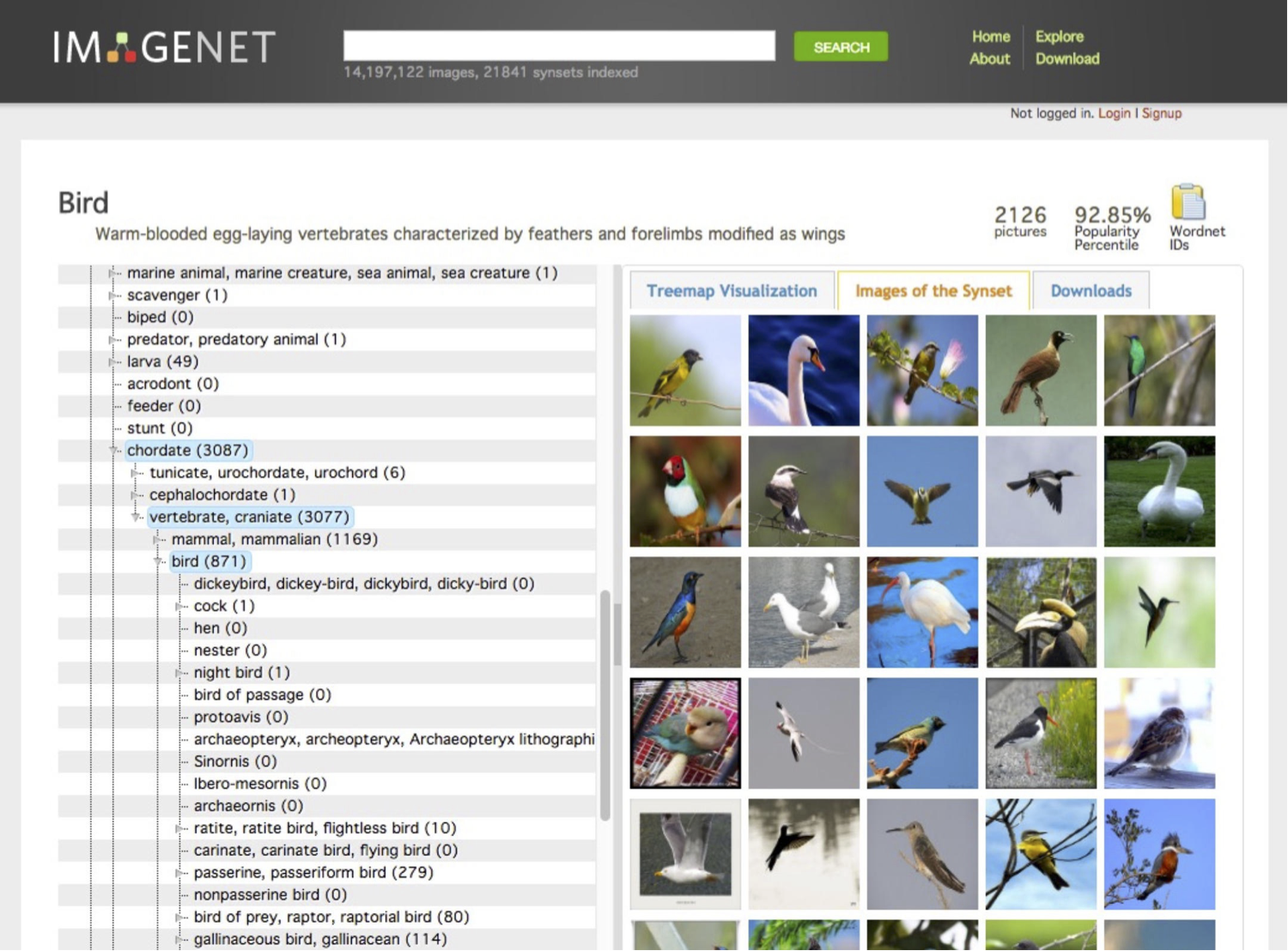 HÌNH 26.33. ImageNet.