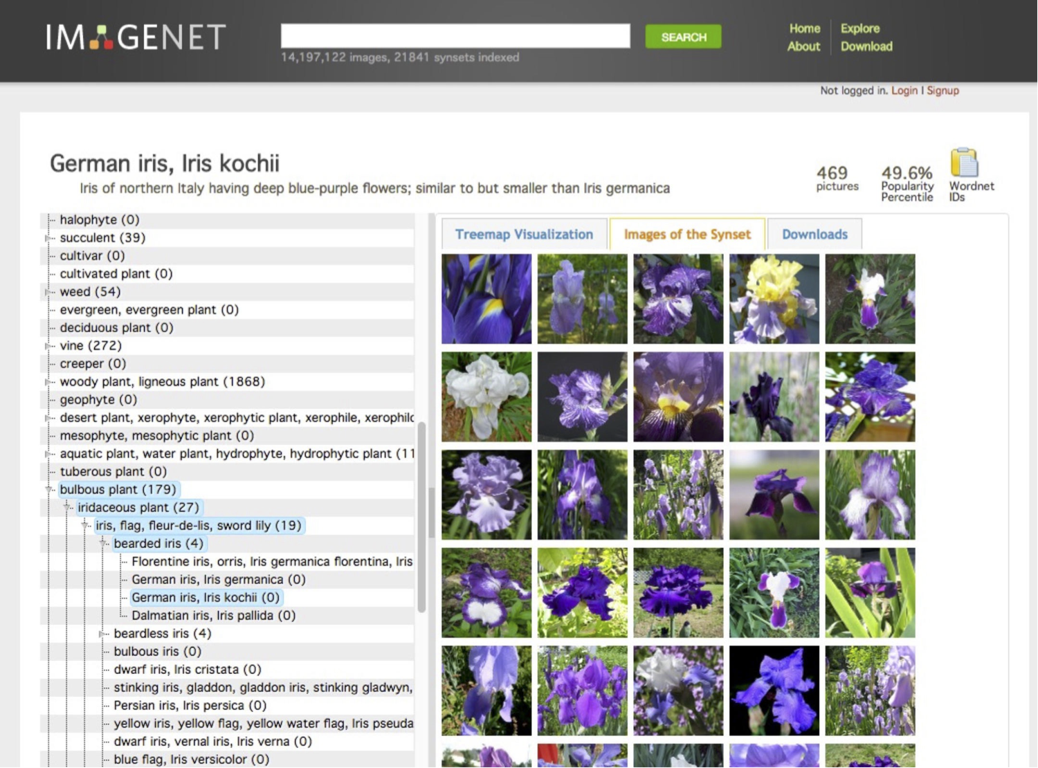 HÌNH 26.34. ImageNet.