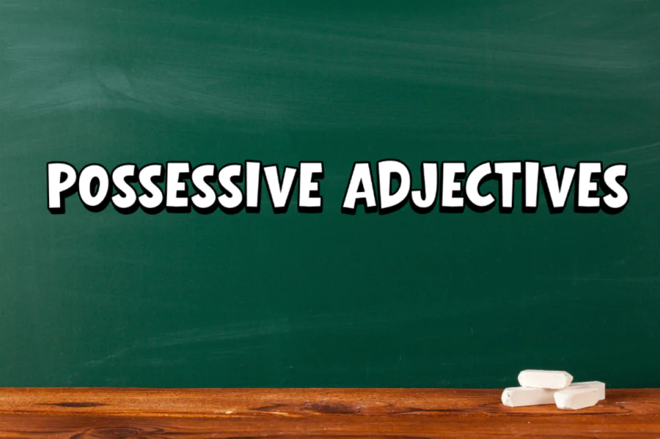 Tổng hợp lý thuyết & bài tập về tính từ sở hữu lớp 6 (có đáp án)