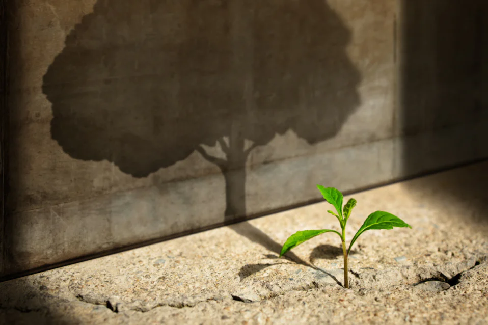 101 câu châm ngôn tiếng Anh ngắn, hay, ý nghĩa và tích cực