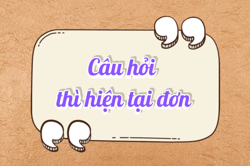 Các dạng câu hỏi thì hiện tại đơn và bài tập kèm đáp án