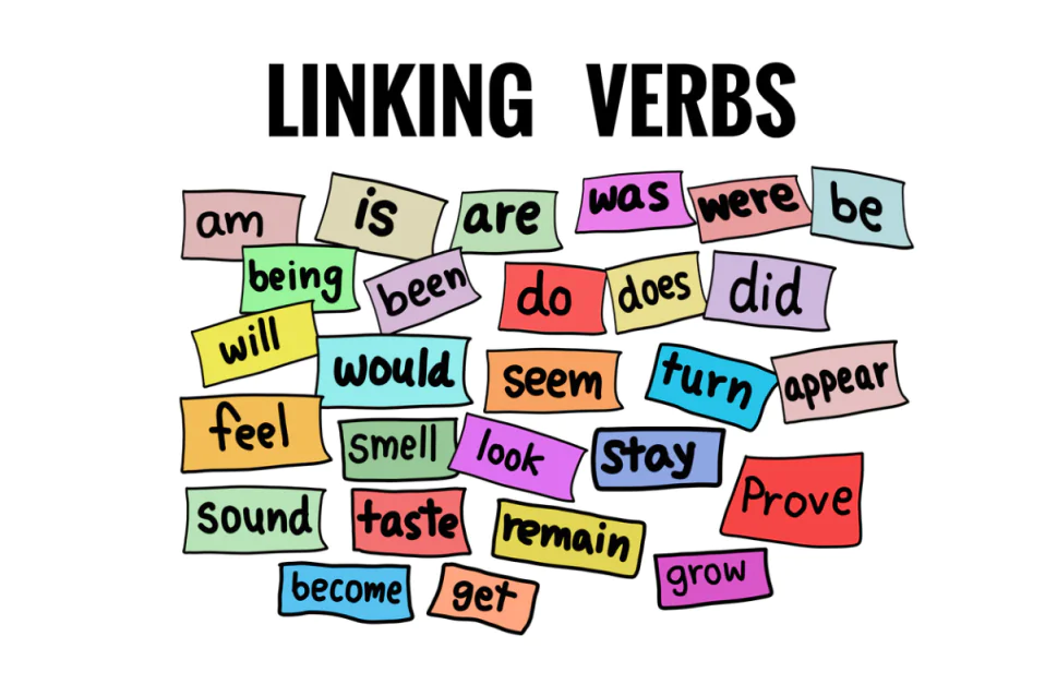 Tìm hiểu về Linking verb - động từ nối trong tiếng Anh