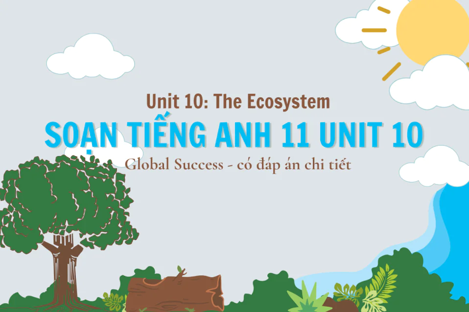 Giải tiếng Anh 11 Unit 10 Global Success: The Ecosystem