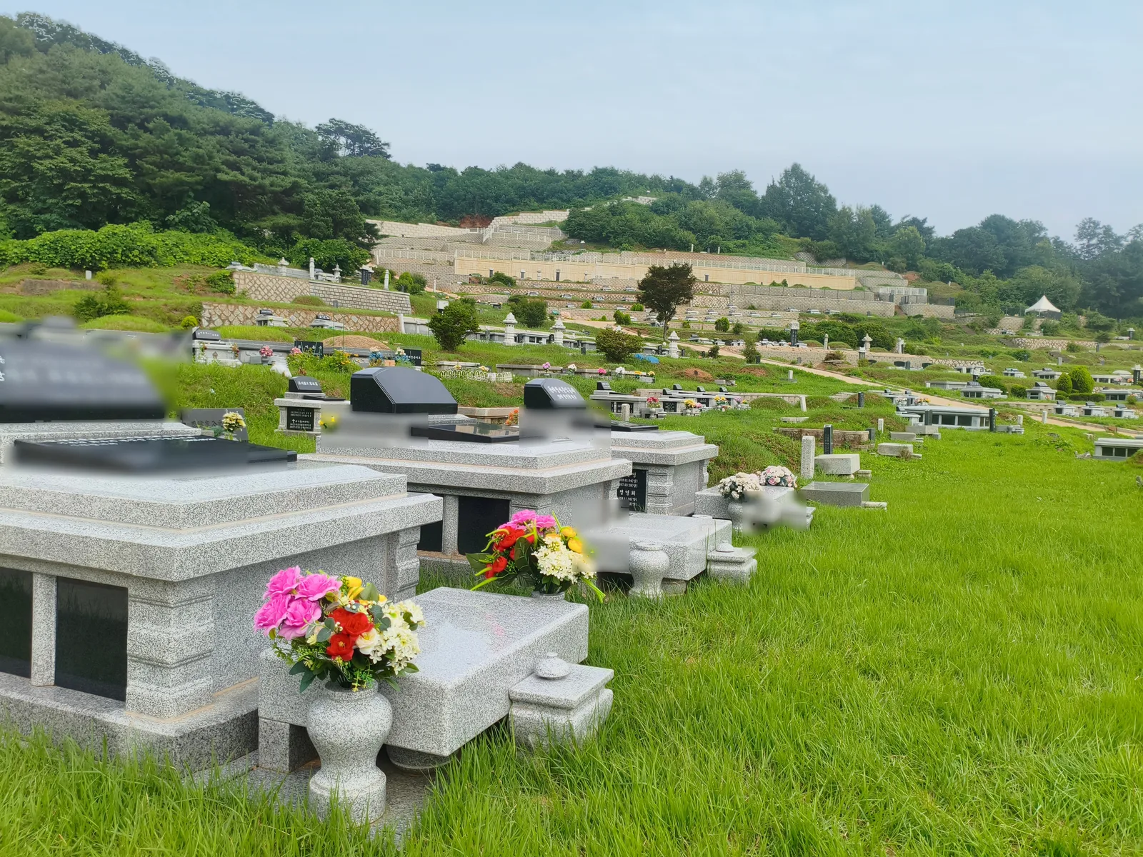 낙원공원묘원 사진