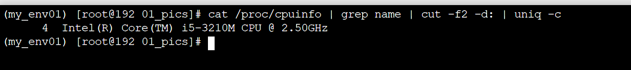 Snipaste_查看cpu信息