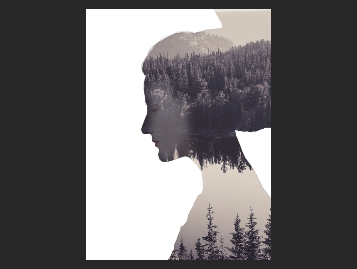 image-20210304113743938