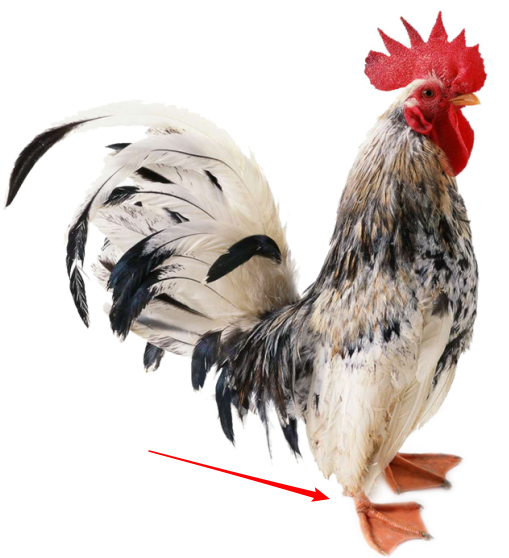 image-20210304131348101