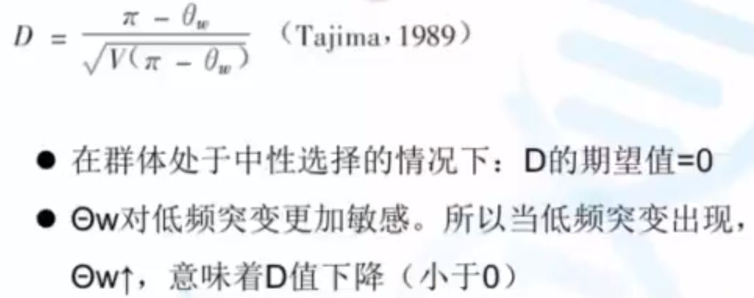 Tajima's D