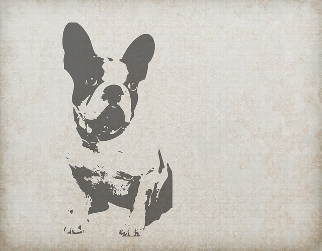 dog-220302_640
