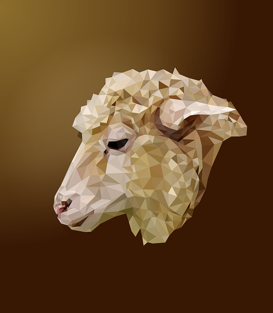 sheep-1990132_640