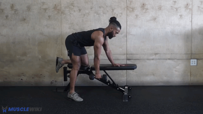 跪姿单臂哑铃划船