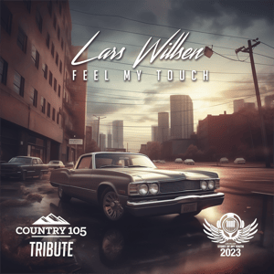 Feel My Touch, a rock country song by Lars Willsen