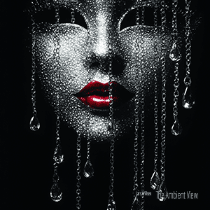 The Ambient View by Lars Willsen