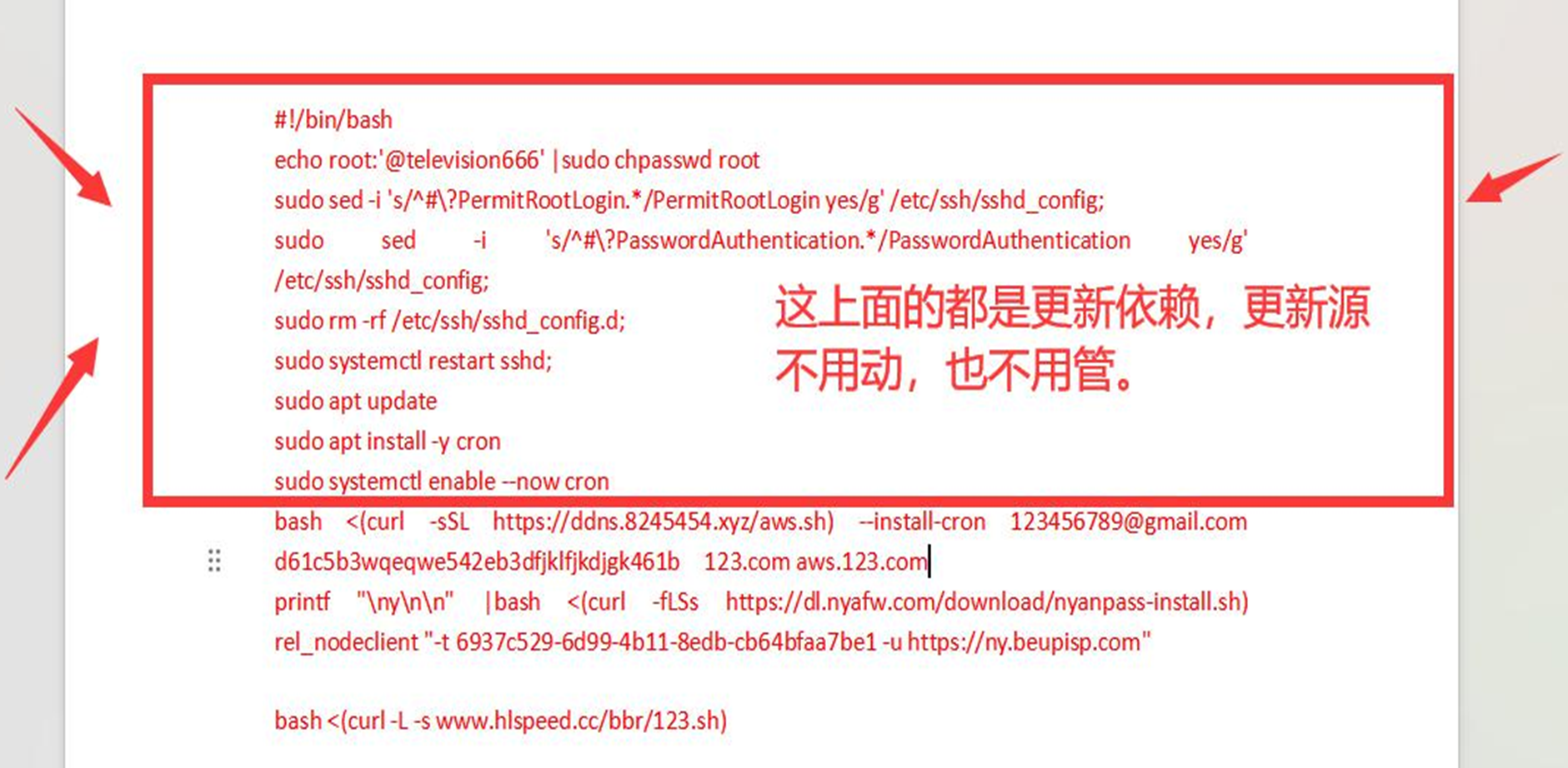 完整开机脚本示例