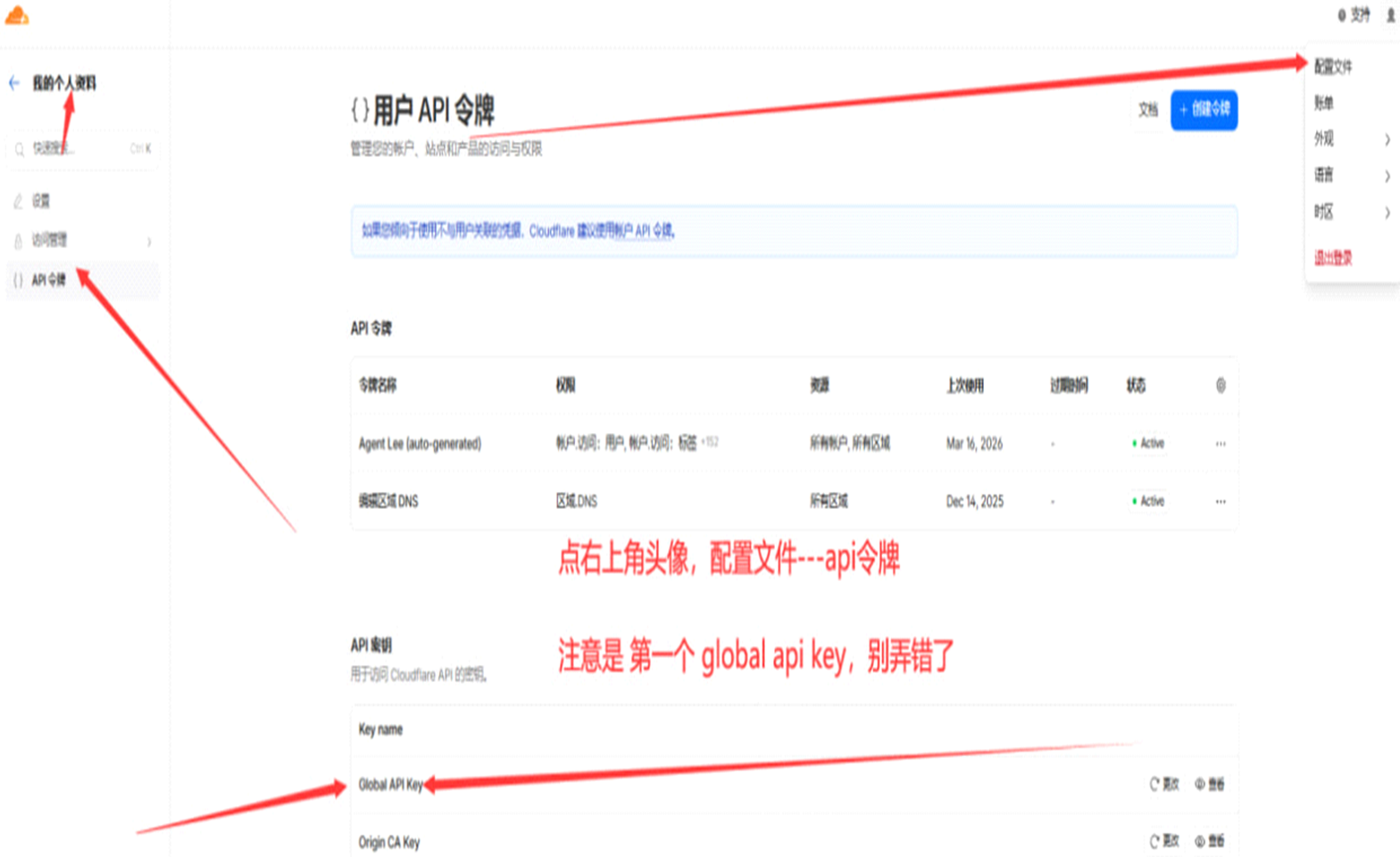 获取 Cloudflare Global API Key