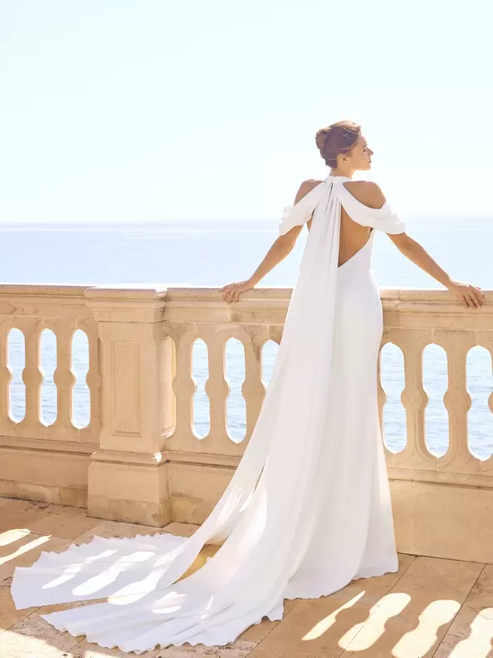 Pronovias partie arrière robe Elvinia