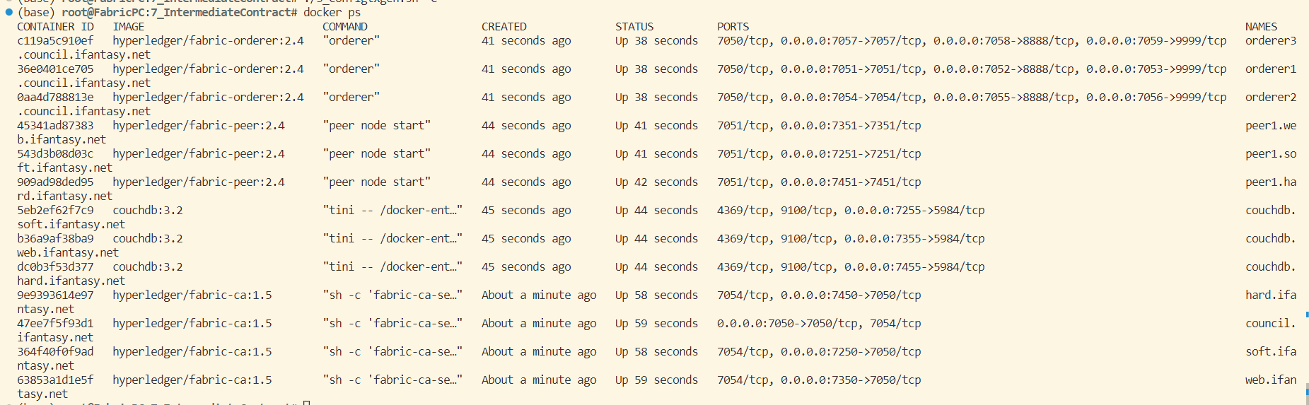 初始 docker 网络