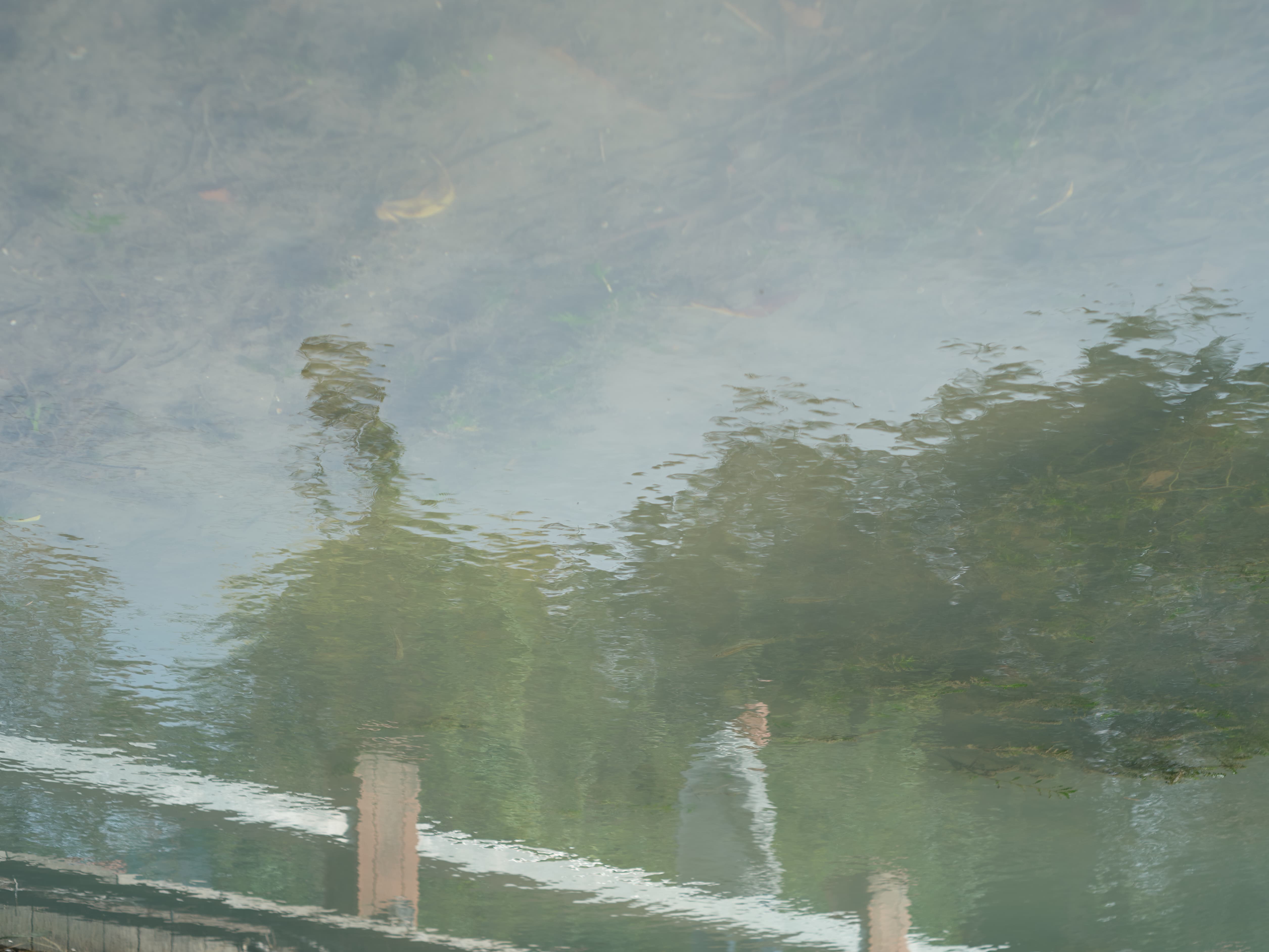 组图《梦的河流》之八