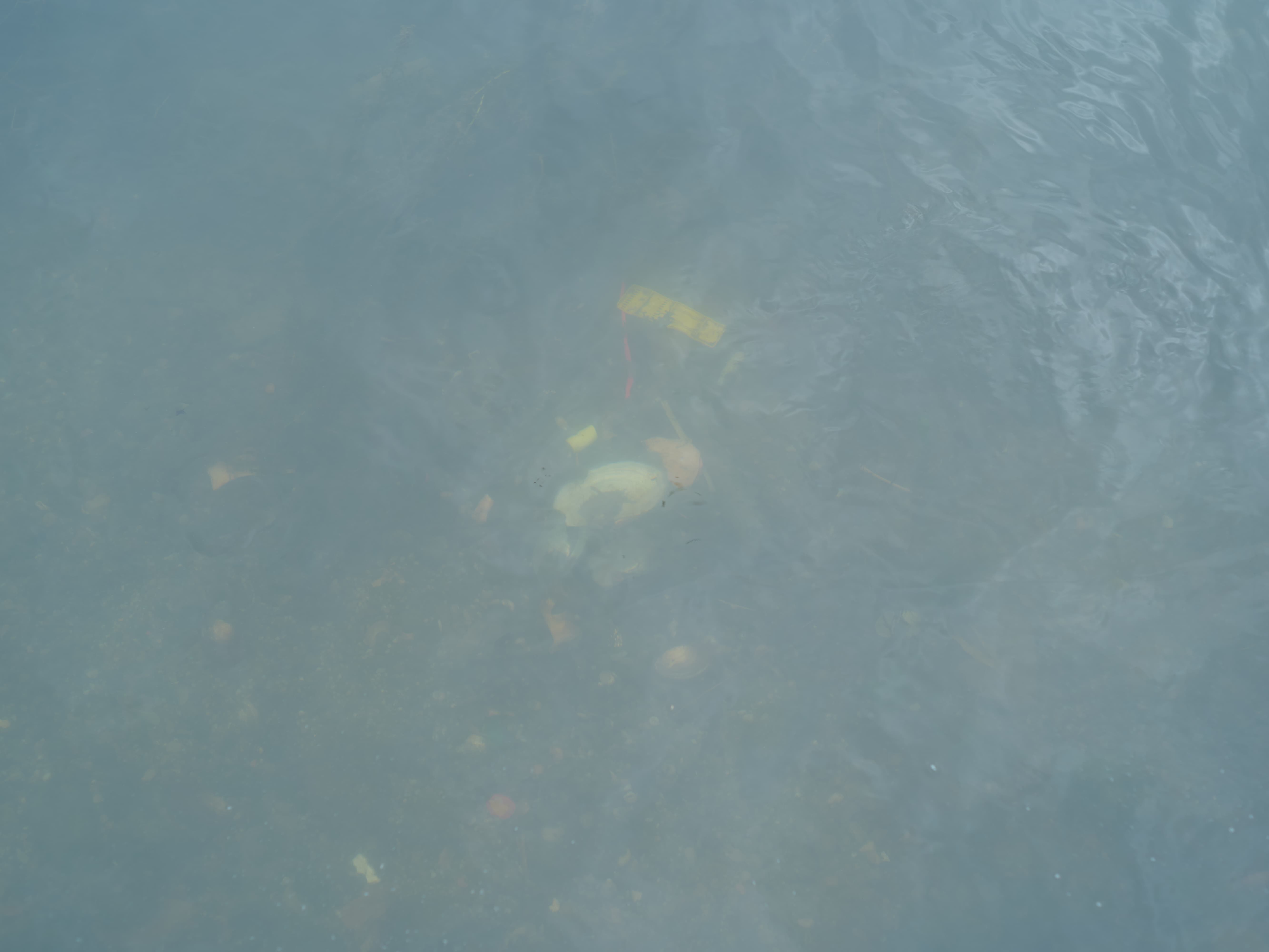 组图《梦的河流》之九