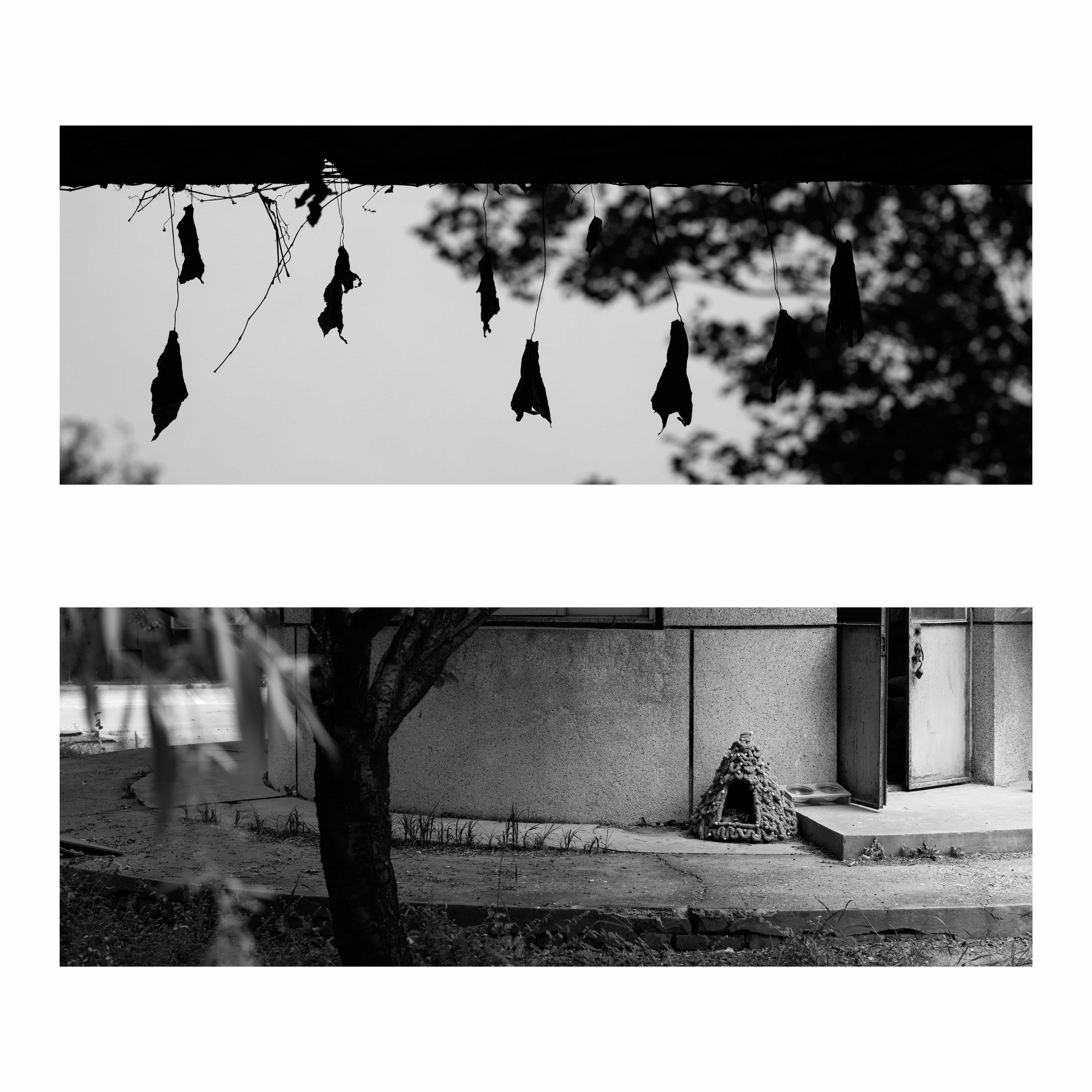 组图《学校记忆》之一