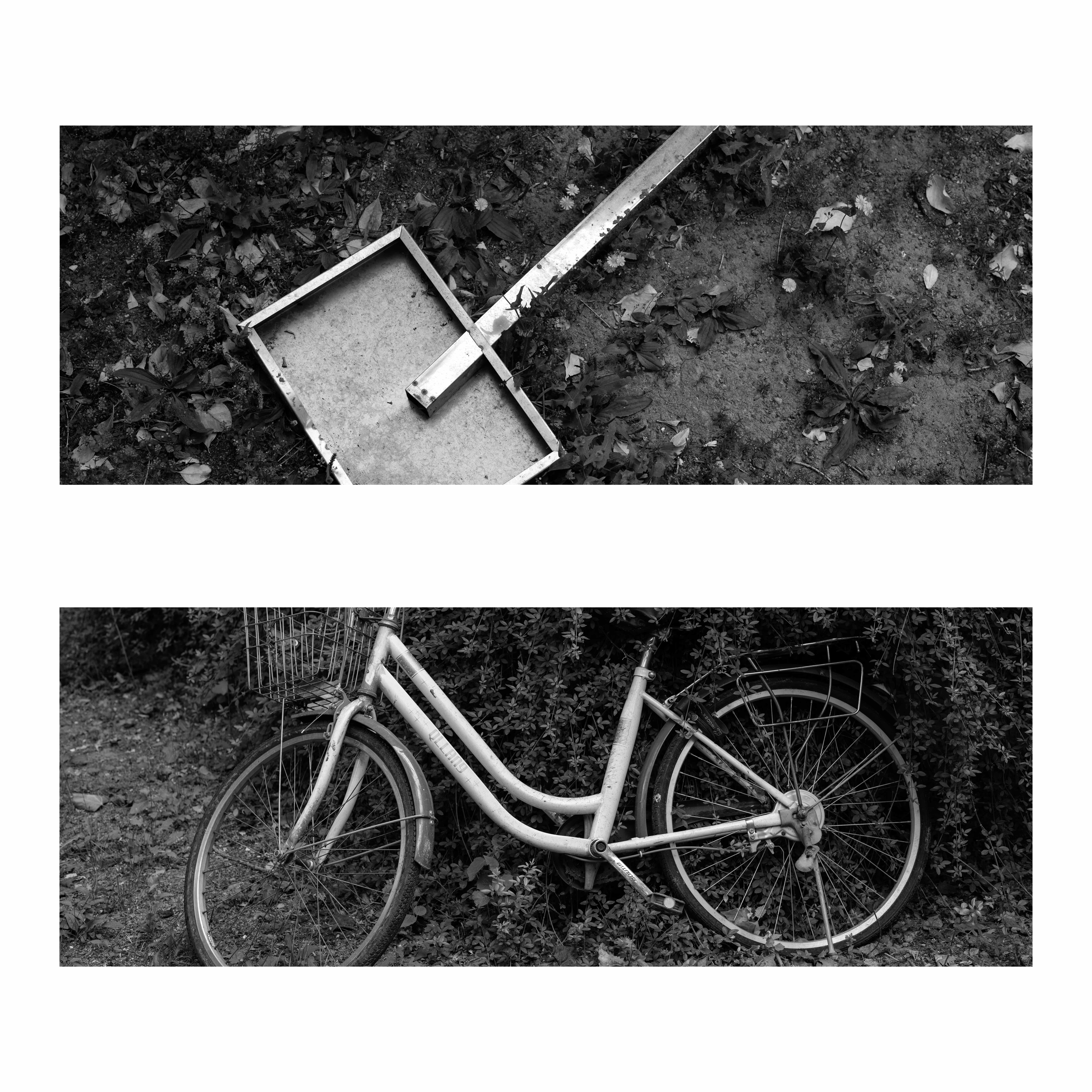 组图《学校记忆》之二