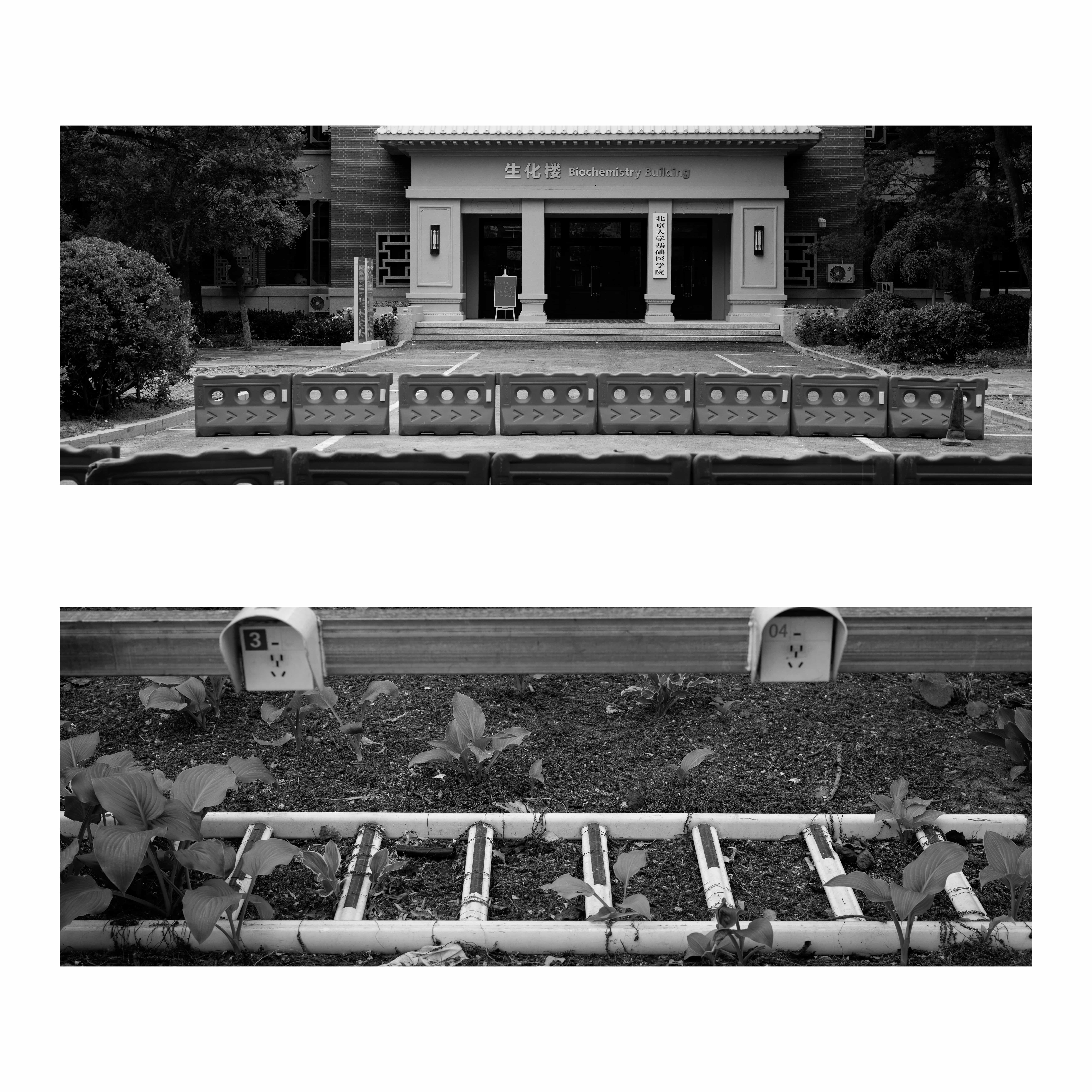 组图《学校记忆》之三