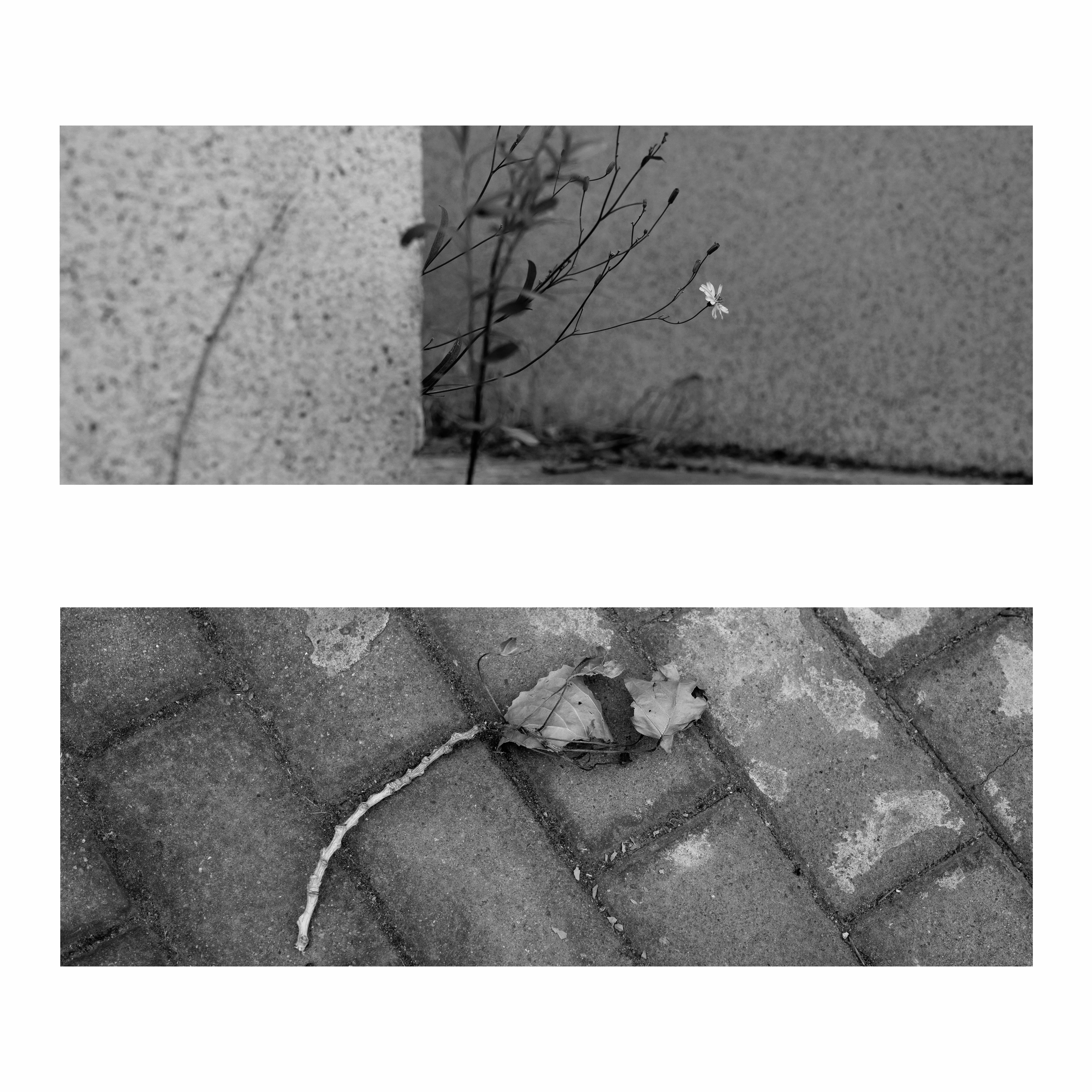 组图《学校记忆》之六