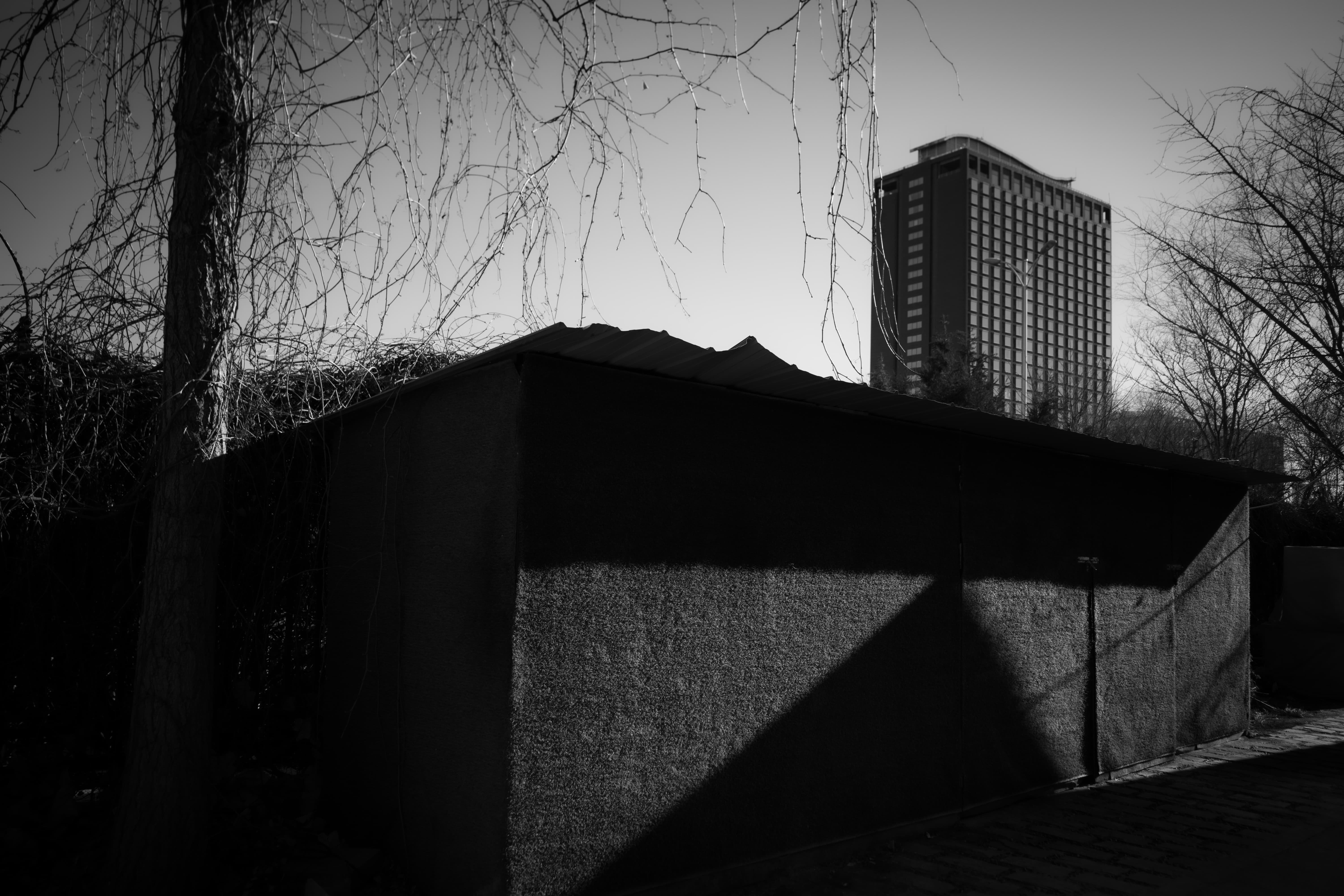 摄影作品《不稳定的楼》，黑白数码照片