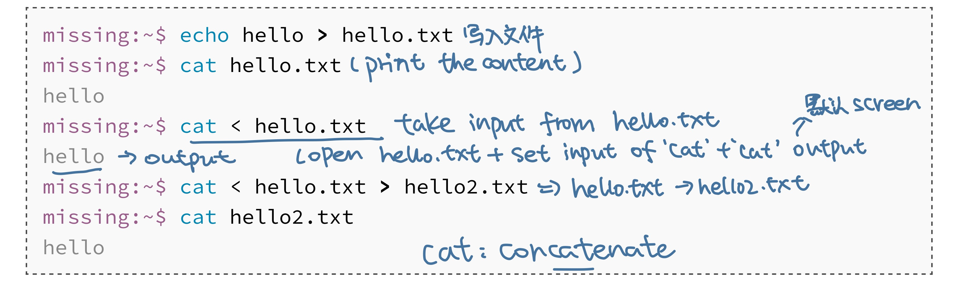 image-20220830143135676