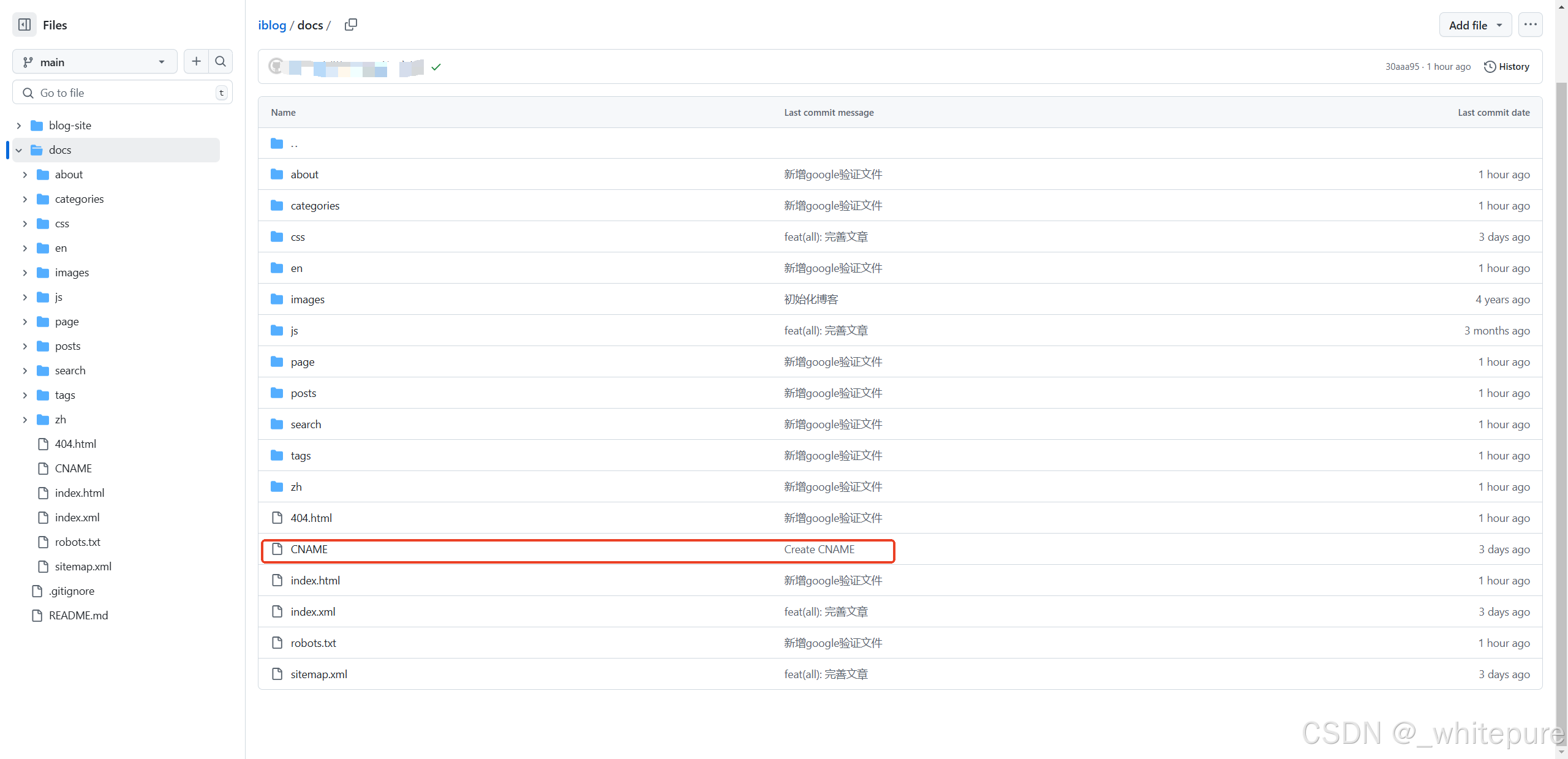 GitHubPages自定义域名配置-01