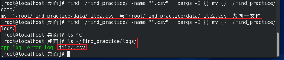 image-20250730165658852