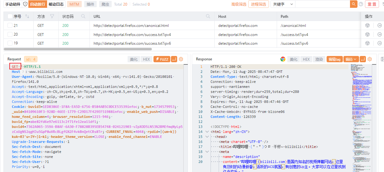 image-20250811164913188
