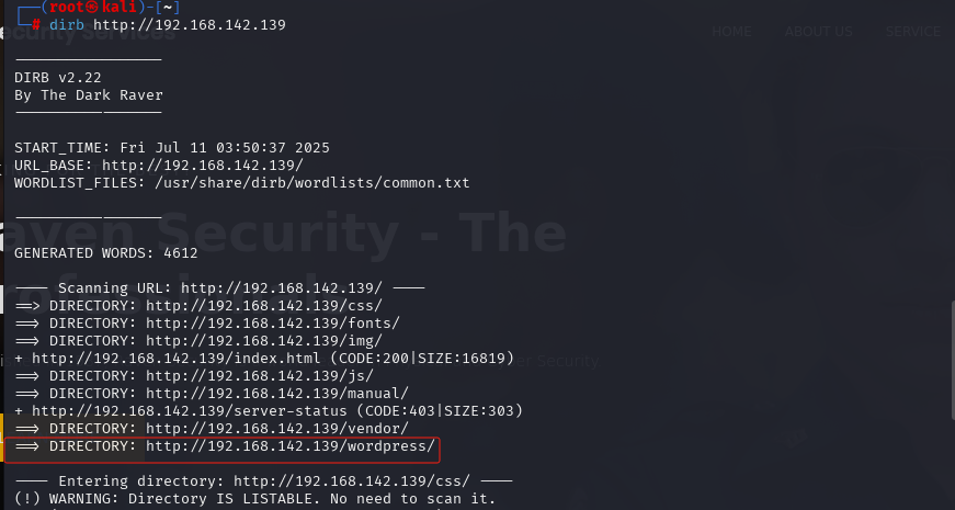 image-20250711155221236