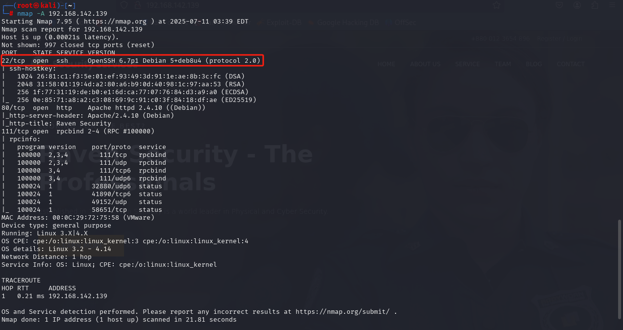 image-20250711154828628