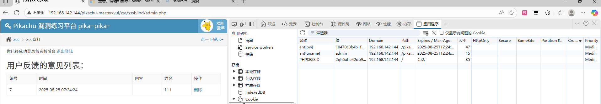 image-20250825195733743