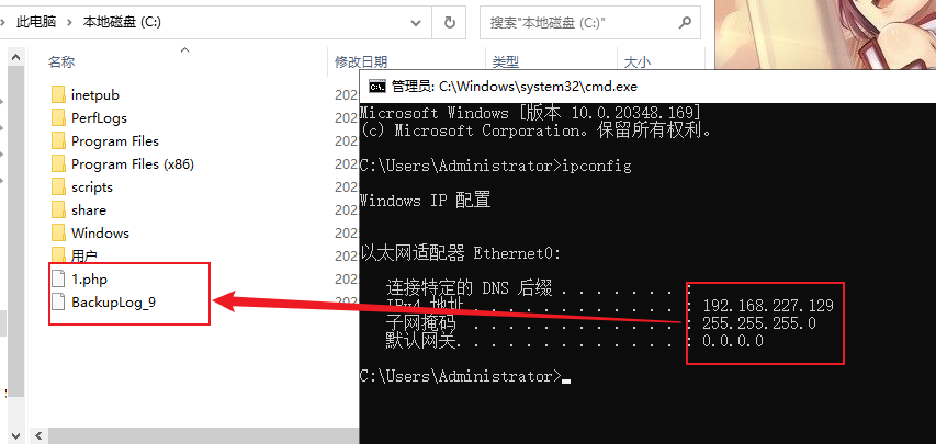 image-20250916194540920