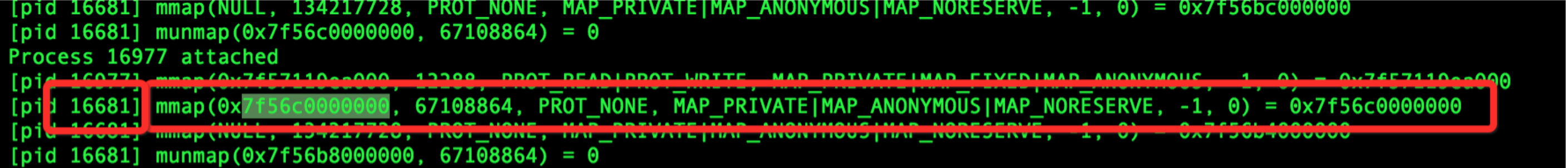 image-20220825220221582