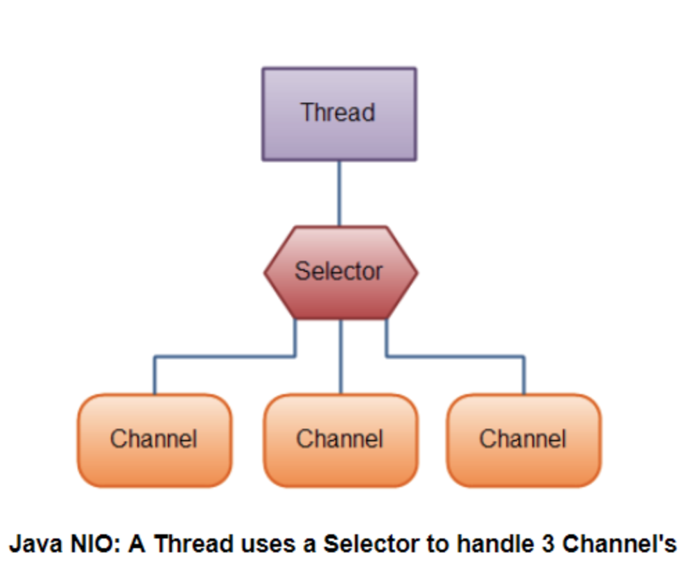 image-20220830221619890