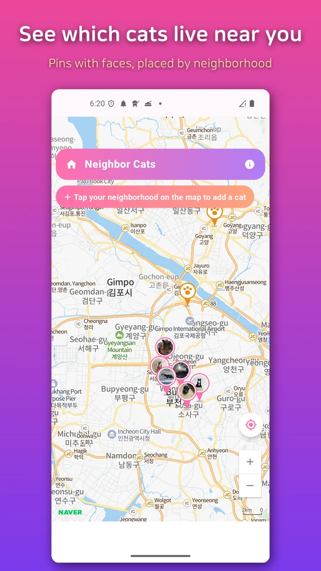 Cat pins with round face photos scattered across a neighborhood cat map